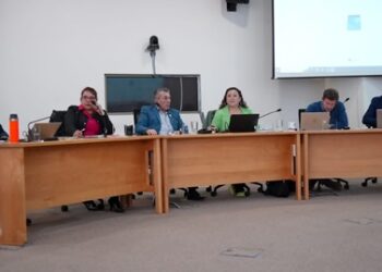 Gobernadora lamenta rechazo en el CORE a proyecto de buses eléctricos para Coyhaique: “No estar en sintonía con los problemas de las personas es pecado capital en política”