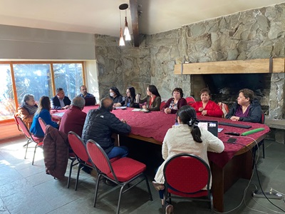 Estudio permite suministrar dosis de insulina a pacientes diabéticos a través de lápiz mínimamente invasivo