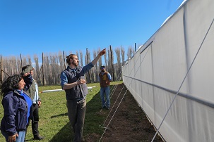 Agricultores/as comienzan sus labores de implementación de proyectos de innovación con foco en mejorar la producción hortofrutícola regional