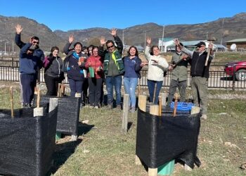 AVANZA PROYECTO DE ARBORIZACIÓN COMUNITARIO VILLA LA TAPERA