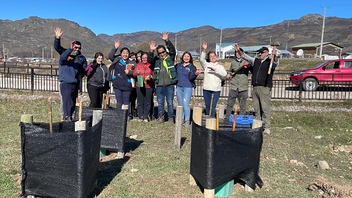 AVANZA PROYECTO DE ARBORIZACIÓN COMUNITARIO VILLA LA TAPERA