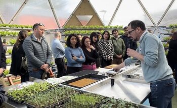 INACAP SEDE COYHAIQUE INAUGURÓ INNOVADOR LABORATORIO DE HIDROPONÍA Y PROPAGACIÓN VEGETAL PARA SUS ESTUDIANTES