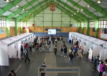 SENCE destaca participación en la Feria de Laboral en Puerto Aysén y realiza invitación a la Feria de Coyhaique este lunes 23 de octubre