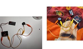 Estudiantes de Aysén crean dispositivo para prevenir la tala ilegal y se convierten en finalistas de premio de innovación