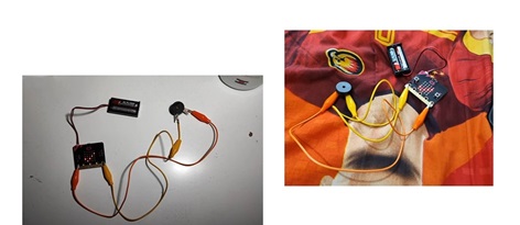 Estudiantes de Aysén crean dispositivo para prevenir la tala ilegal y se convierten en finalistas de premio de innovación
