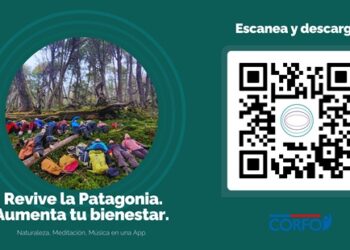 Explora los Secretos de la Patagonia Chilena: La App Raíz Bienestar te transporta a bosques y parques profundos