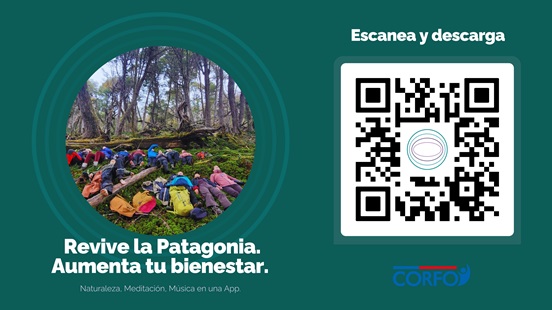 Explora los Secretos de la Patagonia Chilena: La App Raíz Bienestar te transporta a bosques y parques profundos