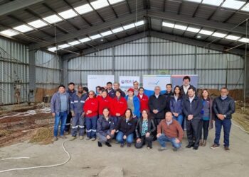 En Puerto Aysén lanzan inédito proyecto para certificar el oficio de operario y operaria de redes