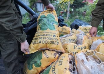 «Decomiso de Papas Argentinas: Llamado de Autoridades para Salvaguardar la Agricultura en Aysén» 