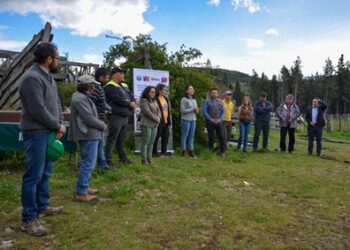 Seremi de Agricultura entrega equipamiento a productores/as ovinos de la región