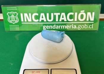 GENDARMERÍA INCAUTÓ 30 GRAMOS DE CANNABIS EN EL CDP PUERTO AYSÉN