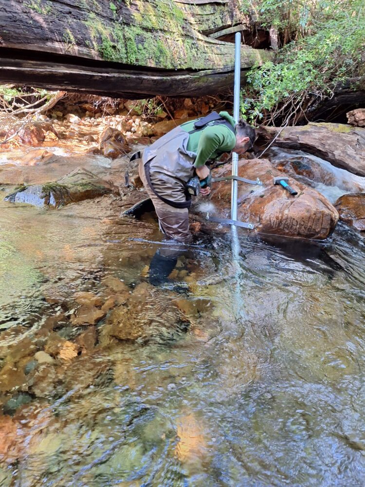 Proyecto científico evaluará microcuencas abastecedoras de agua potable rural para apoyar su gestión