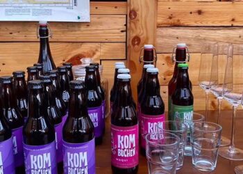 Kombuchén: La bebida saludable y sostenible de la Patagonia respaldada por Corfo Aysén