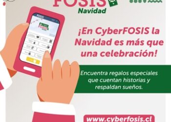 12 emprendedores/as de Aysén participan en la vitrina digital CyberFOSIS Navidad