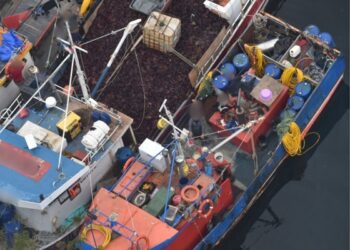 Fiscalización aérea por parte de Sernapesca Aysén permiten detectar 125 embarcaciones operando de manera ilegal durante el 2023