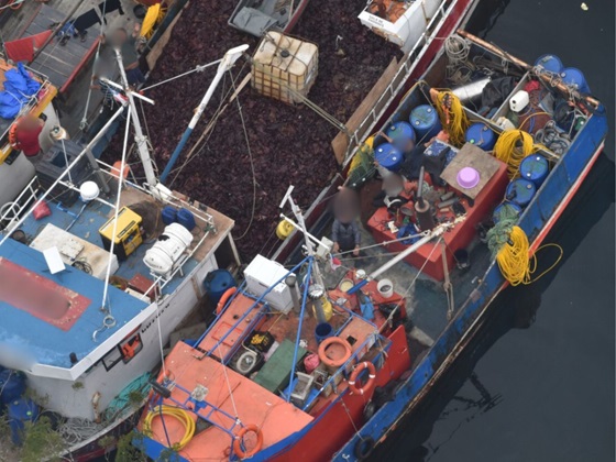 Fiscalización aérea por parte de Sernapesca Aysén permiten detectar 125 embarcaciones operando de manera ilegal durante el 2023