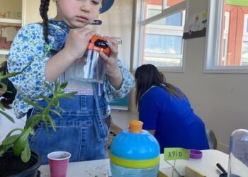 Presentarán actividades que desarrollan la curiosidad científica de niñas y niños en el Centro Cultural Coyhaique