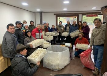 Aislamiento térmico, reciclaje, reutilización y compostaje fueron parte de exitoso piloto de gestión de residuos en Guadal y Bertrand