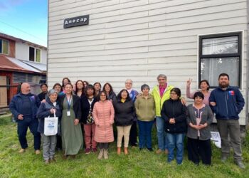 En taller dirigido a trabajadoras de casa particular se difundió el Convenio 190 de erradicación del acoso y violencia en espacios laborales