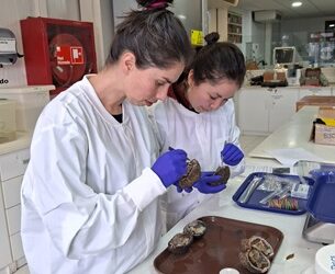 Con el objetivo de apoyar la pesca artesanal se avanza en estudios de recursos pesqueros de Aysén