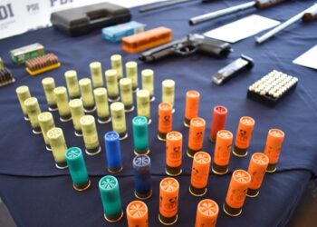 Tras denuncia anónima: PDI incauta cuatro armas y más de 300 cartuchos en sector rural de Coyhaique