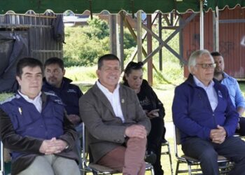 CONCRETAN PROYECTO DE LUMINARIAS Y CÁMARAS DE TELEVIGILANCIA EN PARQUE MUNICIPAL DE PUERTO AYSÉN
