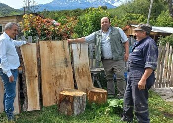 INFOR promueve el desarrollo forestal en Aysén con el uso de tecnología para producir madera y leña de calidad