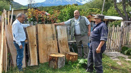 INFOR promueve el desarrollo forestal en Aysén con el uso de tecnología para producir madera y leña de calidad