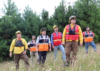Conaf mantiene combate de incendio del sector Recta Foitzick en Coyhaique