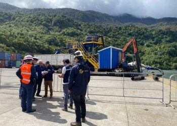 Sernapesca Aysén informó que las empresas retiraron el total de la mortalidad de peces por evento FAN