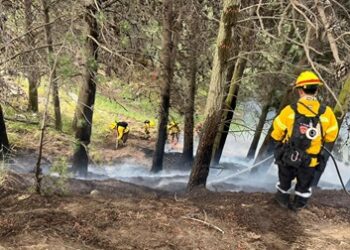 Con apoyo aéreo Carabineros refuerza patrullajes para prevenir incendios forestales