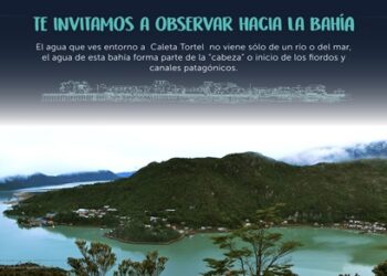 “Pasareleando entre ciencia y cultura”: Un proyecto inédito en el extremo sur de Chile
