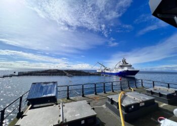 Floración de algas nocivas provoca muerte masiva de salmones en centros de la región de Aysén