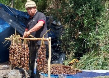 Los testimonios censurados en Aysén por el poder económico transnacional: La verdad sobre los Espacios Costeros Marinos de Pueblos Originarios (ECMPO)