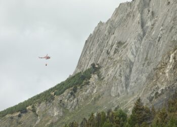 Refuerzan Llamado a la Prevención Ante Incendios Forestales  