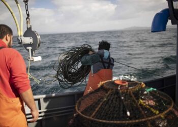 ECMPOs: La lucha por proteger los recursos marinos para proveer el sustento de los pescadores artesanales de Aysén