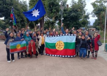 Declaración Solicitud ECMPO Huichas y Cisnes