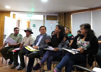 Gobierno establece Panel de Seguridad Comunitaria con juntas vecinales