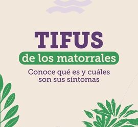 Seremi de Salud Confirma 3 Casos de Tifus de Matorrales en la Región de Aysén