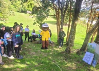 Minagri Aysén y CONAF impulsan jornadas educativas en escuelas públicas para el cuidado de los bosques en la región