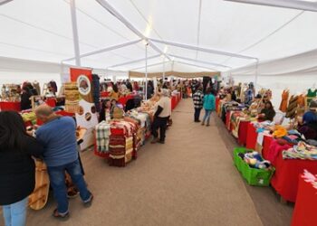 40 emprendedores/as regionales serán parte de la Expo FOSIS 2024
