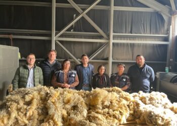 Diputado Calisto y AG Río Baker preocupados por mercado de la lana: hay 180 mil kilos que no se han podido comercializar