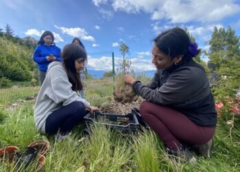 PAR Explora Aysén invita a la comunidad científica a asesorar un equipo de investigación e innovación escolar