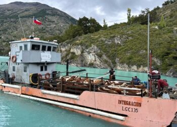 Primera Navegación de Recolecta de Animales en el Lago O’Higgins