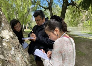 Explora Aysén promueve tres iniciativas formativas gratuitas para fomentar la ciencia en liceos, escuelas y jardines de la región
