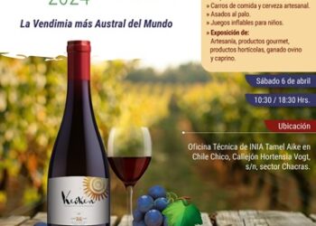 Este fin de semana se desarrollará la primera «Expo Vendimia Chile Chico 2024»: La vendimia más austral del mundo