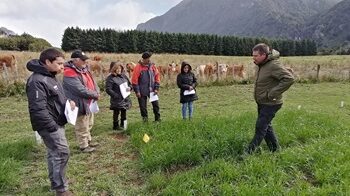 INIA Presenta Avances en Investigación Forrajera en Mañihuales