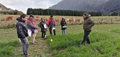 INIA Presenta Avances en Investigación Forrajera en Mañihuales