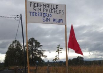 Proyecto inmobiliario amenaza vida ancestral mapuche y humedales en Pichi Maule
