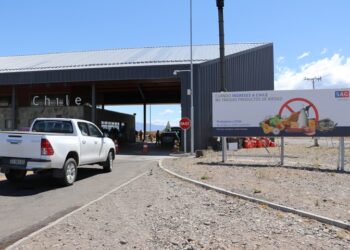 SAG Aysén entrega recomendaciones para viajar de Chile al extranjero